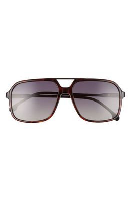 Carrera Eyewear 59mm Gradient Aviator Sunglasses in Havana/Grey Gradient
