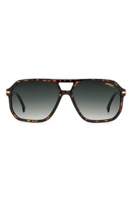 Carrera Eyewear 59mm Rectangular Sunglasses in Havana/Green Shaded
