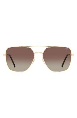 Carrera Eyewear 60mm Gradient Square Sunglasses in Gold Havana/Brown Polar