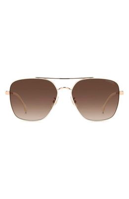 Carrera Eyewear 60mm Gradient Square Sunglasses in White Copper Gold/Brown