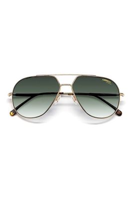 Carrera Eyewear 61mm Gradient Aviator Sunglasses in Havana Gold /Green Shaded
