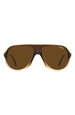 Carrera Eyewear 62mm Aviator Sunglasses in Brown Gradient /Brown