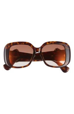Cartier 54mm Square Sunglasses in Havana