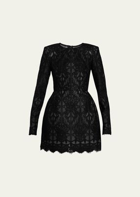 Casey Long-Sleeve Fit-&-Flare Lace Mini Dress