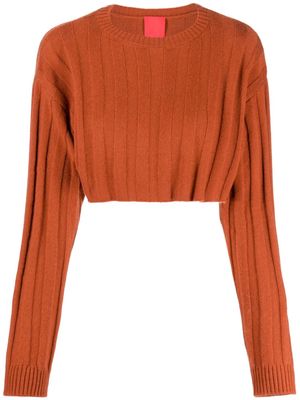 Cashmere In Love Remy ribbed-knit cropped jumper - Brown