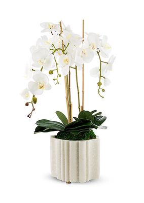 Castel Marble Orchid