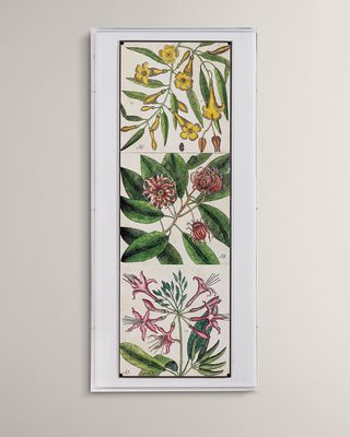 "Catesby Botanical I" Giclee Print