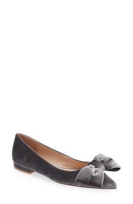 Cecelia New York Brie Bow Pointed Toe Flat in Gray Velvet