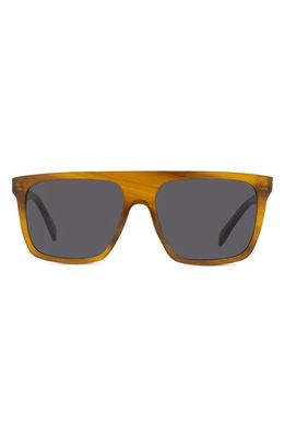 CELINE 57mm Flat Top Sunglasses in Havana/Other /Smoke