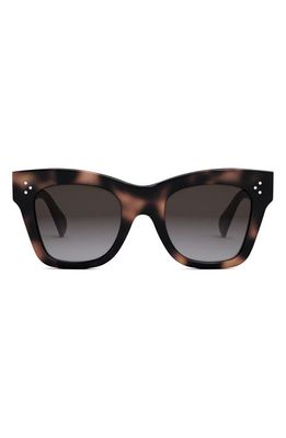 CELINE Bold 3 Dots 50mm Small Gradient Butterfly Sunglasses in Havana /Gradient Roviex