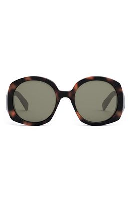 CELINE Bold 3 Dots 53mm Round Sunglasses in Colored Havana /Green