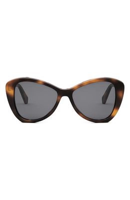 CELINE Butterfly 55mm Sunglasses in Blonde Havana /Smoke 