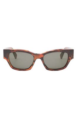 CELINE Monochroms 54mm Cat Eye Sunglasses in Animal /Smoke 