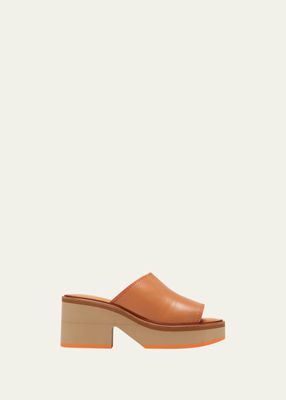 Cessy Leather Block-Heel Mule Sandals