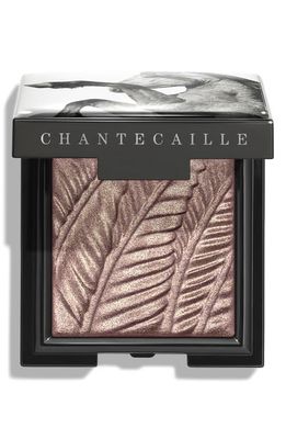 Chantecaille Luminescent Eyeshadow in Pinto