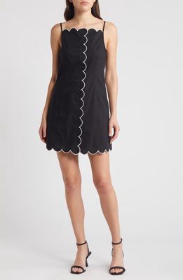 Charles Henry Scallop Detail Stretch Cotton Minidress in Black 