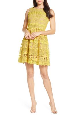 Chelsea28 Lace Fit & Flare Dress in Yellow