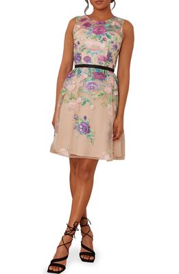 Chi Chi London Embroidered Sleeveless Organza Cocktail Dress in Multi