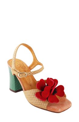 Chie Mihara Flower Appliqué Sandal in Beige