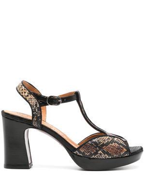 Chie Mihara Keduni 70mm snake-print sandals - Black