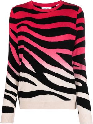 Chinti and Parker ombré zebra-print jumper - Pink