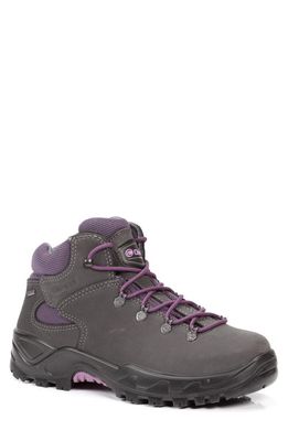 Chiruca Panticosa Gore-Tex® Hiking Boot in Grey
