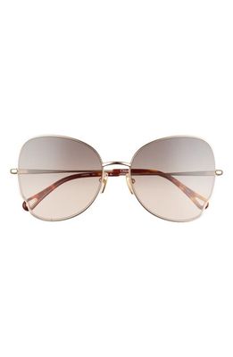 Chloe 59mm Gradient Butterfly Sunglasses in Gold/Brown