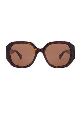 Chloe Marcie Rectangular Sunglasses in Brown