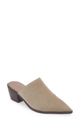 Chocolat Blu Cellia Pointed Toe Mule in Taupe Suede 