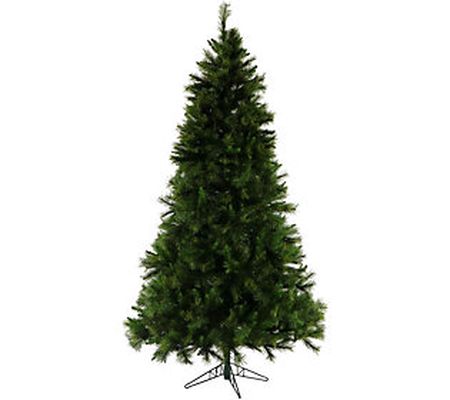 Christmas Time 6.5' Pennsylvania Pine Christmas Tree