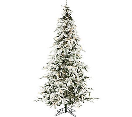 Christmas Time 7.5' White Pine Snowy Clear Prel it Tree