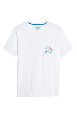 Chubbies Men's Pocket Graphic Tee in The Polly