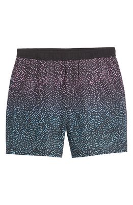 Chubbies The Night Lifes 7-Inch Compression Shorts