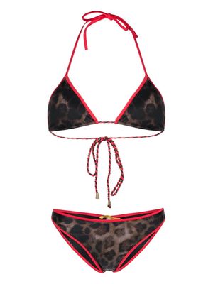 Cia Marítima leopard-print bikini set - Black