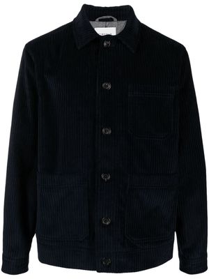 Circolo 1901 buttoned corduroy jacket - Blue