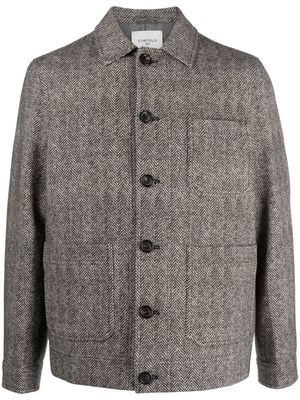 Circolo 1901 chevron-knit shirt jacket - Black