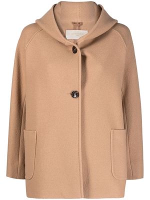 Circolo 1901 hooded virgin wool coat - Brown