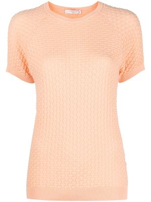 Circolo 1901 short-sleeve cotton T-shirt - Orange