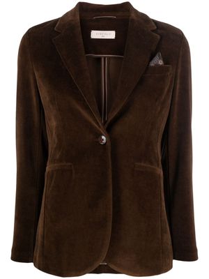 Circolo 1901 single-breasted velour blazer - Brown
