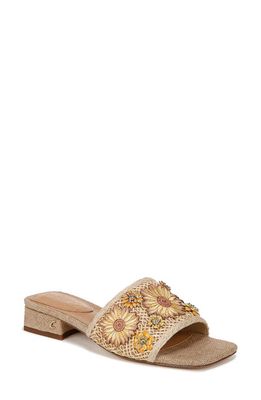 Circus NY by Sam Edelman Jolie Sandal in Natural