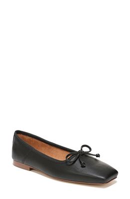 Circus NY Teresa Ballet Flat in Black