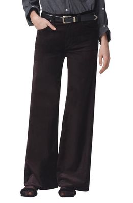 Citizens of Humanity Paloma High Waist Baggy Wide Leg Velvet Jeans in Pony