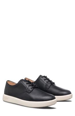 CLAE Hopkins Plain Toe Sneaker in Black Milled Leather