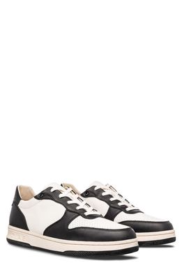 CLAE Malone Sneaker in Black Leather Off-White