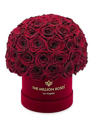 Classic Bordeaux Roses In Suede Superdome Box - Burgundy