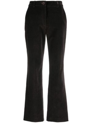 Claudie Pierlot high-waisted velour bootcut trousers - Brown