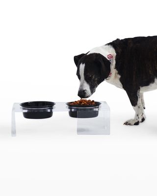 Clear Panel Double Dog Bowl Feeder