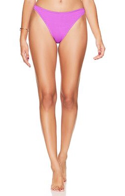 Cleonie Channel Bikini Bottom in Purple.