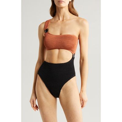 CLEONIE Cutout One-Shoulder One-Piece Swimsuit in Espresso/Noir 