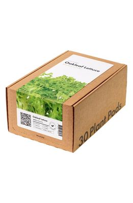 Click & Grow Smart Garden 30-Pack Lettuce Plant Pods in Oakleaf Lettuce